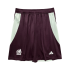 Mexico Home Soccer Shorts Copa America 2024
