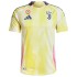 Juventus Away Match Jersey Player Version 2024/25