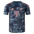 Bayern Munich Away Match Jersey Player Version 2024/25