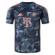 Bayern Munich Away Match Jersey Player Version 2024/25