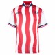 Retro USA Home Jersey World Cup 1994