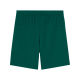 Portugal Home Shorts 2025