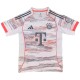 Bayern Munich Away Jersey 2025/26