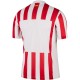 Atletico Madrid Home Jersey 2025/26