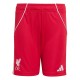 Liverpool Home Soccer Shorts 2025/26