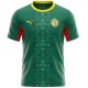 Senegal Away Jersey World Cup 2026