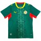 Senegal Away Jersey World Cup 2026